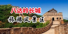 嗯嗯啊啊在线视频免费看中国北京-八达岭长城旅游风景区