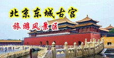 使劲好大快操中国北京-东城古宫旅游风景区